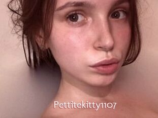 Pettitekitty1107