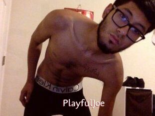 PlayfulJoe