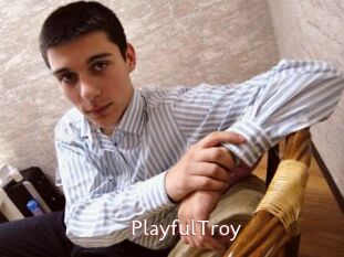 PlayfulTroy