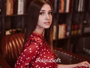 PolinaSoft