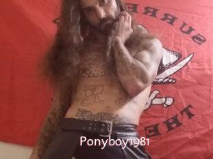 Ponyboy1981