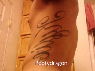 Poofydragon