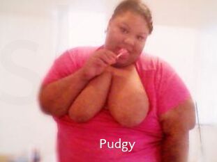 Pudgy