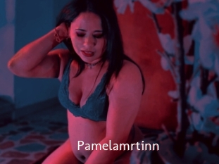 Pamelamrtinn