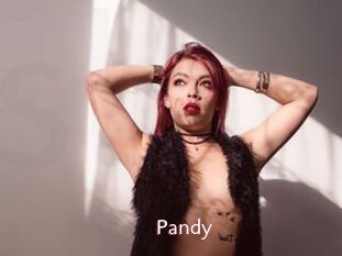 Pandy