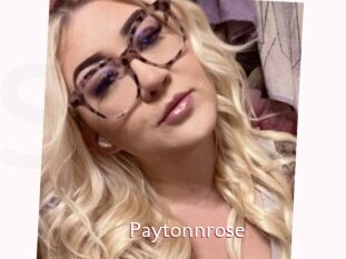 Paytonnrose