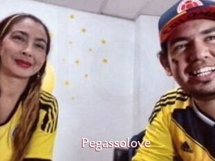 Pegasso_love