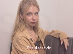 Petulacarvin
