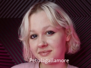Petulagallamore