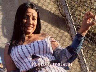 Peytonumalatin