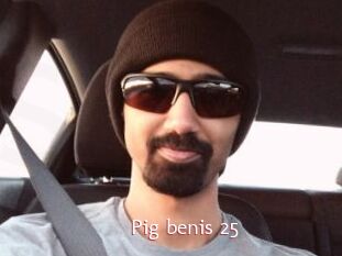 Pig_benis_25