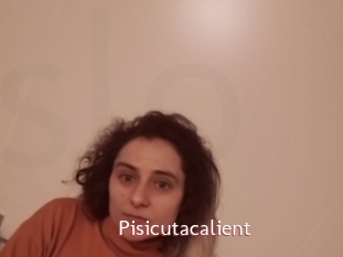 Pisicutacalient