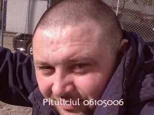 Pituliciul-06105006