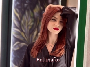 Pollinafox