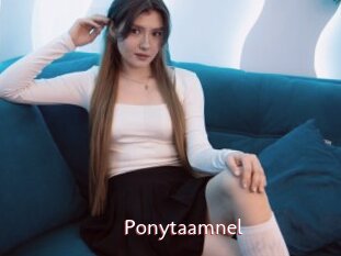 Ponytaamnel