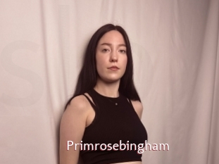 Primrosebingham