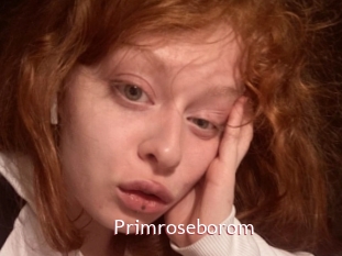 Primroseborom