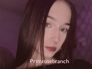 Primrosebranch