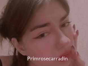 Primrosecarradin