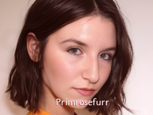 Primrosefurr