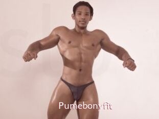 Pumebonyfit