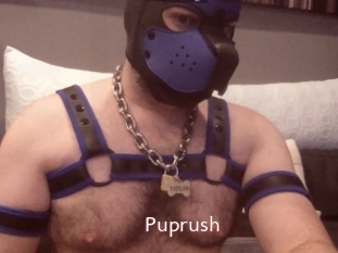 Puprush