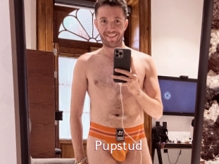 Pupstud