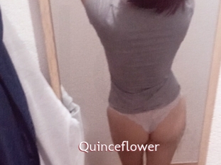 Quinceflower