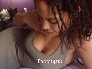 Rabbit4118