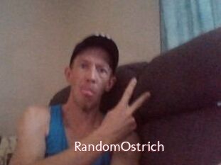 RandomOstrich