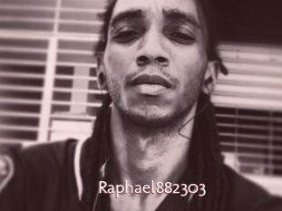 Raphael882303