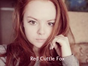 Red_Cuttie_Fox