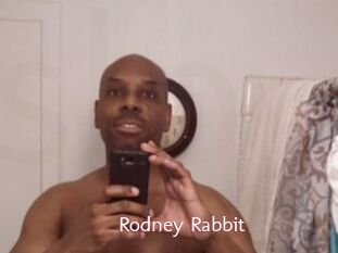 Rodney_Rabbit