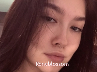 Reneblossom