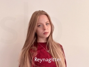 Reynagitter