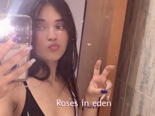 Roses_in_eden