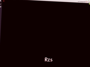 Rzs