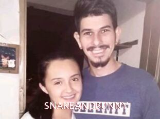 SNAKEANDBUNNY