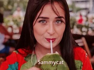 Sammycat