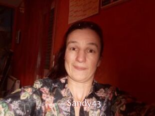 Sandy43