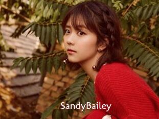 SandyBailey
