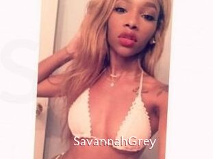 Savannah_Grey