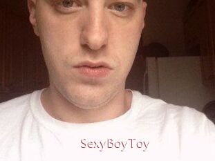 SexyBoyToy