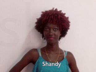 Shandy