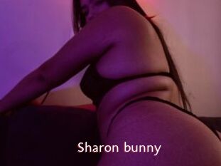 Sharon_bunny