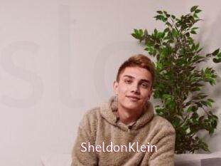 SheldonKlein