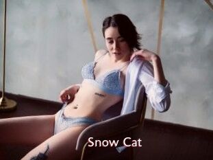 Snow_Cat