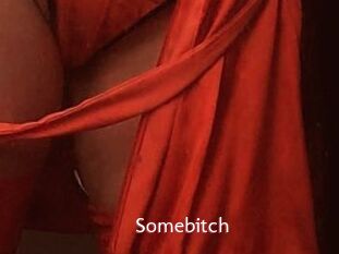 Somebitch