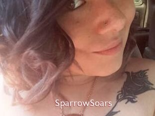 SparrowSoars