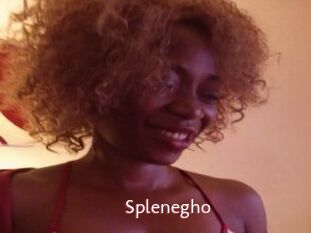 Splenegho